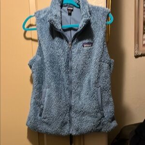 Patagonia powder blue vest